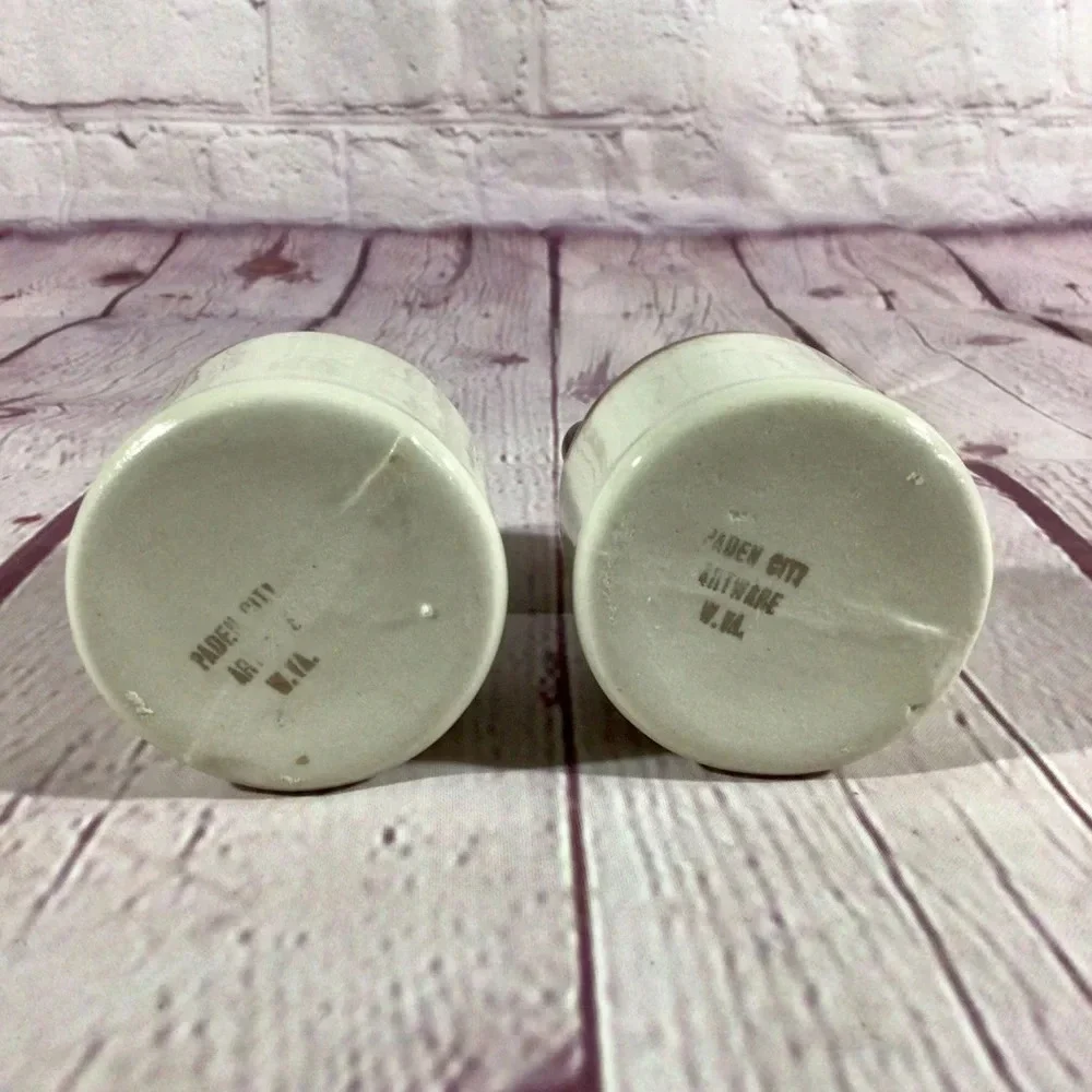 Vintage Desert of Maine Souvenir Ceramic Salt and Pepper Shakers